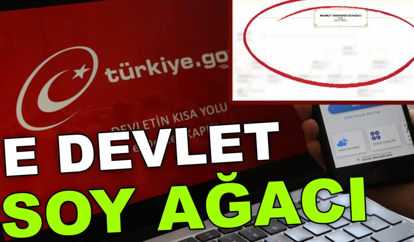 E devlet soyağacı sorgulama